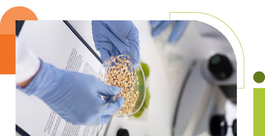 Food Manufacturing Technology